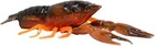 Tackle Hd Hi-def 3   Crawfish Bass Fishing Freshwater Soft Bait Lure   8 Pk