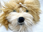 Dakin Shih-tzu Plush Puppy Dog Lifelike Lou Rankin Collection 14  Stuffed Animal