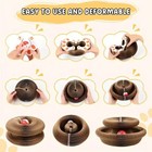 Accordion Magic Organ Cat Scratching Board Toy Kitty Kurlz Ball Scratch Pad