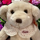 Vintage Dakin Applause Teddy Bear Plush Girl Latte Cute Beige Sitting 12    New