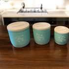 Stanley Atomic Turquoise Plastic Canister Set 3 Vintage-1950   s Mcm