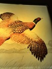 Vintage Schmidt Beer Brewery Pheasant Wall Lighted Sign  works  Hunting Theme Mcm