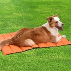 Portable Waterproof Dog Travel Mat Foldable Washable Pet Camping Pad Bed