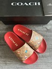 Bn Coach Udele Sport  Slides Women Kittens Print
