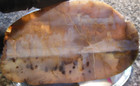 Montana Moss Agate Lapidary Slab  97 Grams Rough  Dendritic  Scenic Landscape