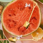 Spoons For Desserts Coffee Tea Shovel Spoon Set Grapefruit Spoons Set Of 2 Flat