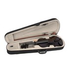 New Acoustic Violin W  Case 4 4 Full Size Bow Rosin Black Basswood Gift Black