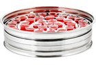 Stainless Steel Communion Tray - 12 2  - Holds 40 - Us Ship