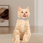 Adjustable Flea Tick Collar For Cats 38cm 8 Month Protection Natural