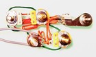 Rickenbacker 4001 3 Wiring Harness  - Stereo mono Outputs