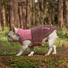 Dog Winter Jacket Coat Dual Waterproof Dog Vest Fit Large Medium Small Dog