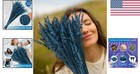 Natural 15-17  British Blue Dried Lavender - Perfect For Weddings   Decor