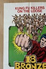 18 Bronze Men  1975  Martial Arts Movie Poster Us 1 Sheet Kung Fu Grindhouse