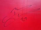 Ny Giants Brandon Jacobs Signed Giants Stadium Seat Back Steiner Authentication