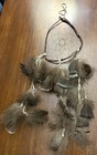 Teardrop Dreamcatcher Made Of Willow Tree And  Iridescent Wild Turkey Feathers