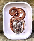  new  Curious Prints Snake Vintage Scientific Illustration Trinket Jewelry Tray