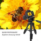 Zomei Mini Camera Tripod Travel Table Tripod 3way Pan Tilt Head 1 4 Inch Plate
