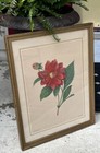 Vintage Shabby Chic Gold Toned Framed Print Of Red Dahlia Flowers     