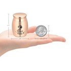 Small Dog Urn For Ashes 1 77inches Mini Cremation Urn For Pet Ashes Paw Mini Urn