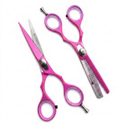 Professional Salon Hair Cutting Thinning Scissors Barber Shears Hairdressing Set