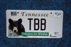 Tennessee Bear Wildlife License Plate