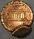 Lincoln Memorial Cent Penny Beautiful Rare Double Struck Error 2nd 75  - Lot 077