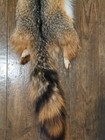 Nice Beautiful Gray Fox Fresh Tanned Hide Super Soft  Leather Craft Pelt Fur 
