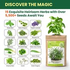 Herb Seeds 15-pack     4 500  Non-gmo Heirloom For Planting     Green 