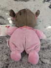 Nwt Fisher Price Snugamonkey Pink Girl Baby My Little Doll Lovey Brown Hair 8x6 
