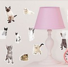 Cats  Wall Stickers 14 Decals Room Decor Nursery Kittens Persian Breeds