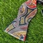Cremieux Silk Bow Tie Paisley Pattern Self Tie Formal Party Blue Red Mens Nwt
