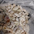 Micro Mini Sea Shells Lot Natural Spiral Craft Decor Coastal Nautical Beach 9 Oz