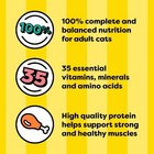 Pate In Gravy Variety Pack Adult Wet Cat Food 3 5 Oz Trays