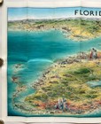 Original Vintage Map Florida -pictorial Map -united States -unique Media - 2000s
