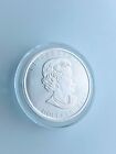 2017 Canada  5  1 Oz Silver Coin 9999  Reverse Argent Pur Dragon  Capsule   Bu 