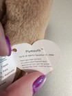 Ty Beanie Baby Plymouth Thanksgiving Bear 2004 Pilgrim Hat Turkey Mwmt Plush