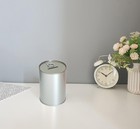 Metal Money Coin Piggy Bank No Break To Open Saving Box W easy-open-end Lid    