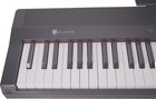Williams Legato Iv 88-key Digital Piano
