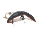 Kitan Club Nature Techni Colour Japanese Fire Belly Newt Lizard Keychain  Figure