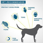 2x Flea And Tick Collar For Small Dog 8 Month 38cm Protection Dog Collar