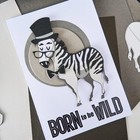 Tim Holtz  mini Winifred  Colorize  Zebra Sizzix Thinlits Cutting Dies 2026