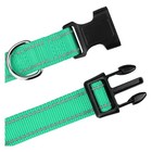 Adjustable Nylon Dog Collar Puppy Pet Collar Buckle Neck Collar S-xl Solid Color