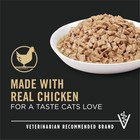 Purina Pro Plan Urinary Tract Health Chicken Entree In Gravy Cat Food 5 5oz X 24