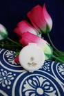 Vintage Collectible Max Factor Hollywood  Compact Rouge Raspberry  Nos New 