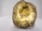 4  Natural Golden Crystal Quartz Geode Half 2 2lb Rough Specimen Kentucky Healer