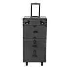 Salon Cart Trolley 2 Storage Trays Locking Wheels Storage Rolling Makeup Case
