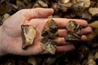 2 Lbs Septarian Rough Stones - Natural Crystal Mineral Rock Specimens Tumbling