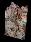Xl Mind Blowing Birdseye Red Oak Burl Wood Blank Craft epoxy Wood  Spaghetti Oak