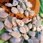 Natural Moonstone Gemstone 925 Sterling Silver Plated Wholesale Pendants Lot