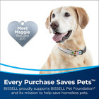 Bissell Cleanview Rewind Pet Bagless Vacuum With Automatic Cord Rewind  Active E